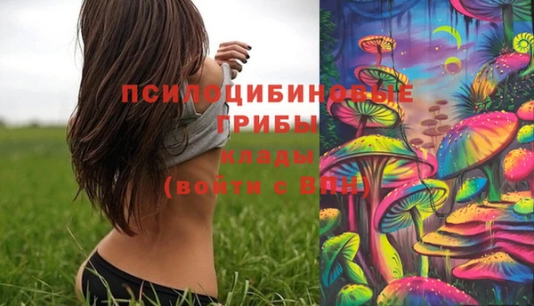 mdpv Бугульма