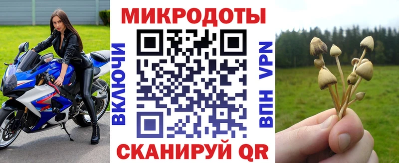 Галлюциногенные грибы Psilocybe  Ульяновск 